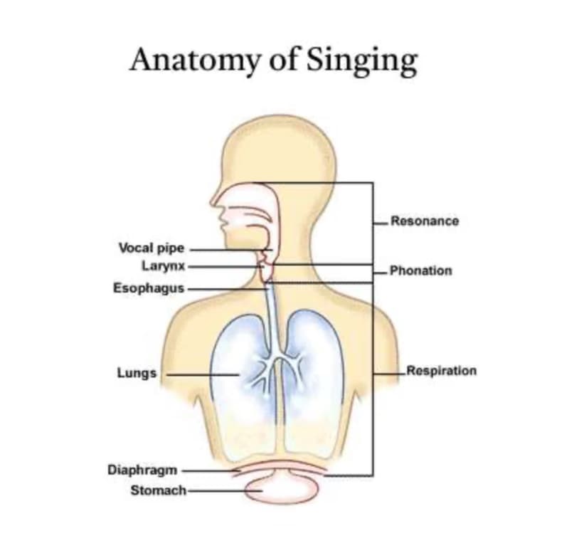 Singing learning materials by Neeve 