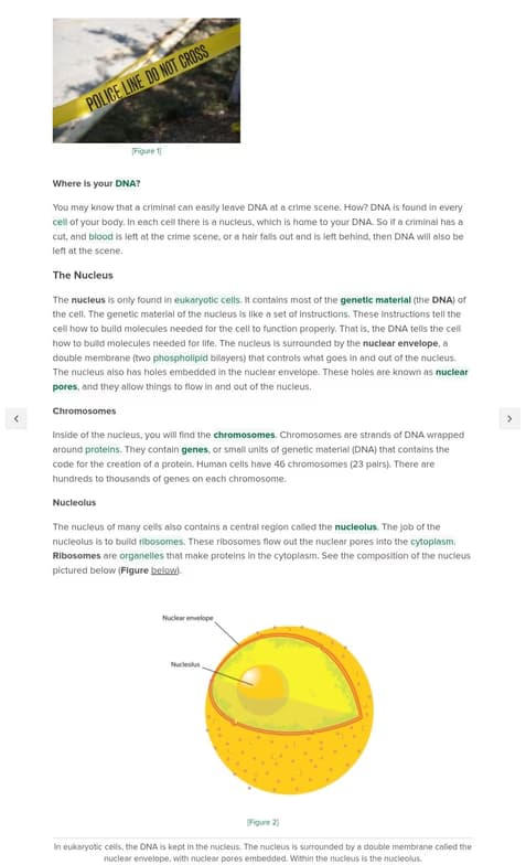 Science learning materials by Vedshri  