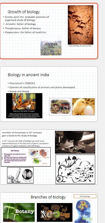Live performance with Biology by Sandra 