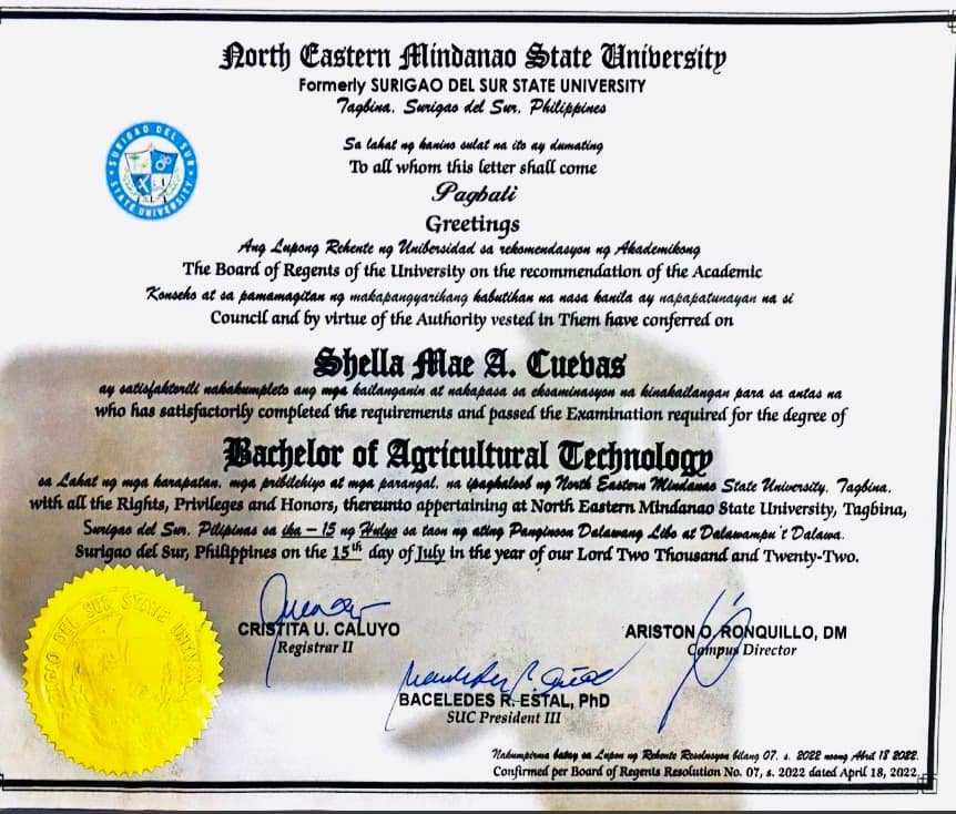 Verified degree or teaching certification of Shella Mae 