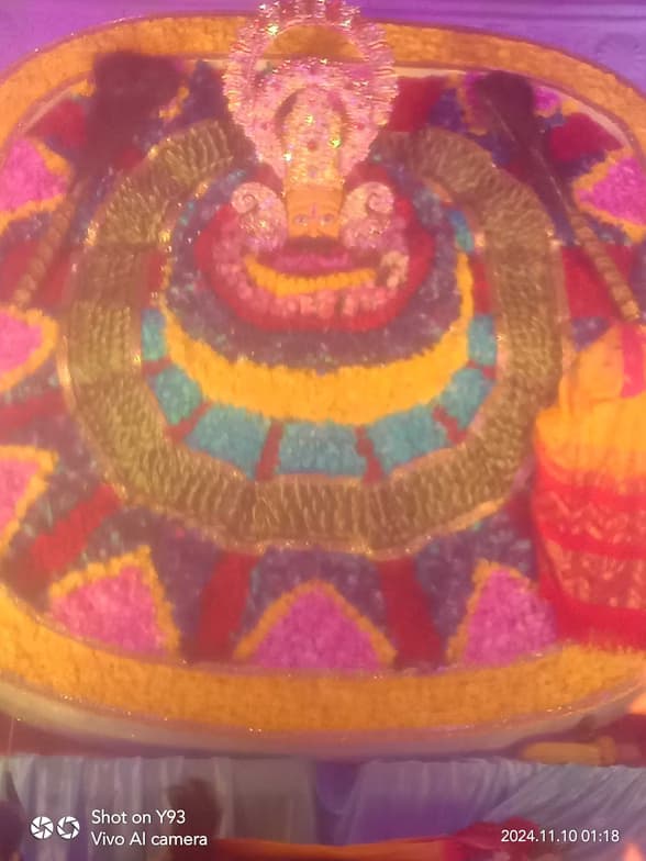 Profile photo of Vedushi, English tutor at Wiingy 