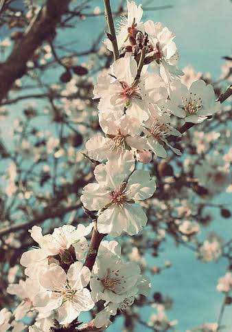 Profile photo of Vedushi, English tutor at Wiingy 