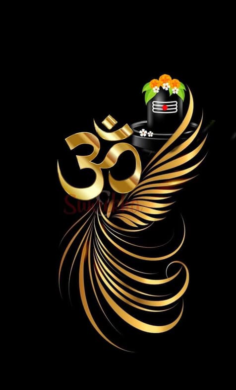 Profile photo of Vedushi, English tutor at Wiingy 