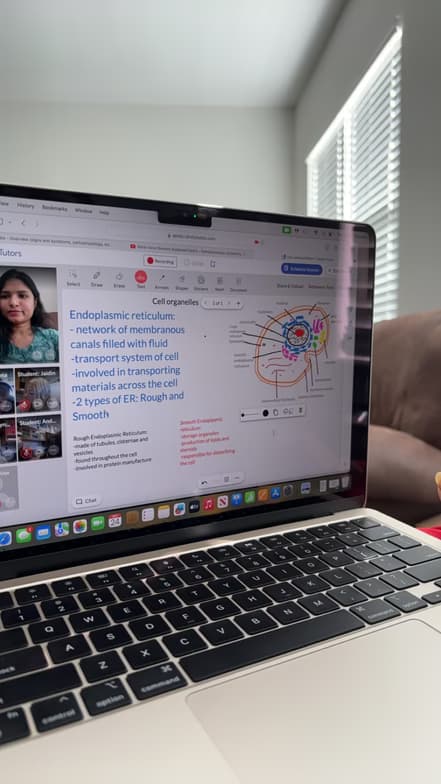 Shravanthi conducting a lesson 