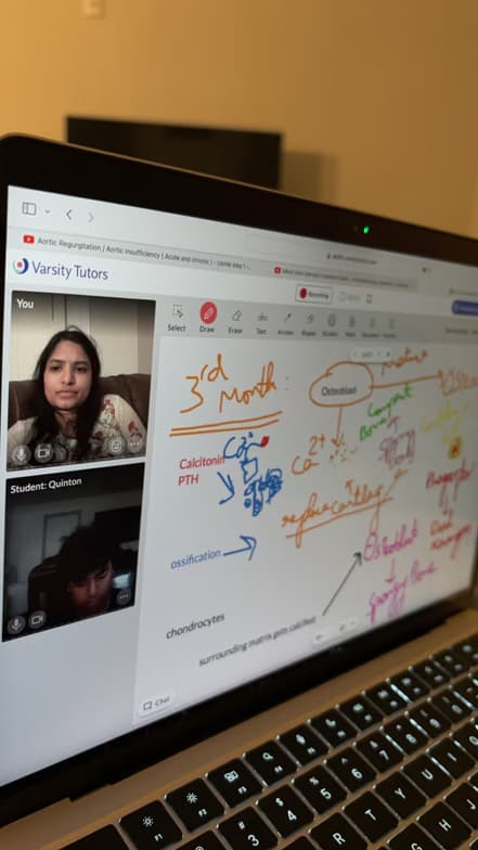 Shravanthi conducting a lesson 