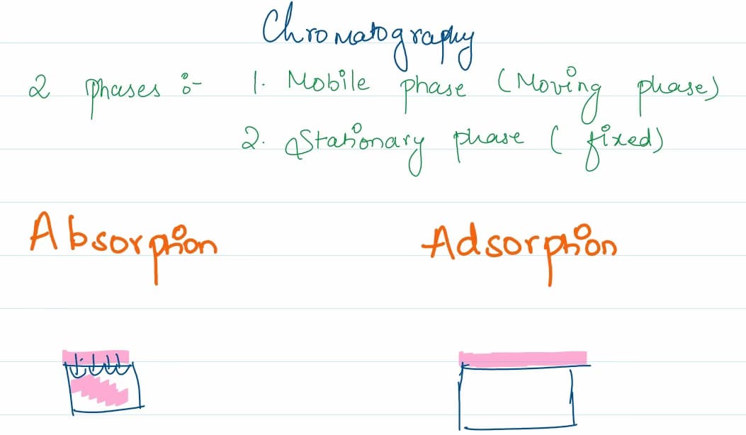 AP learning materials by Nikita 