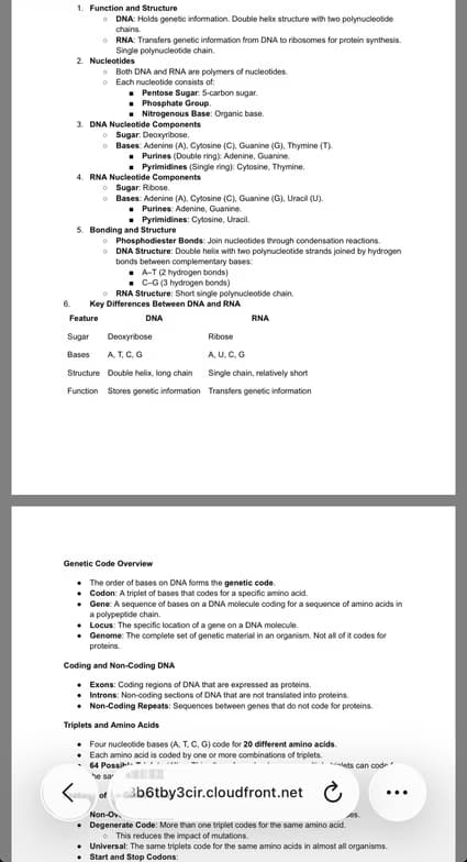 GCSE learning materials by Youssef 