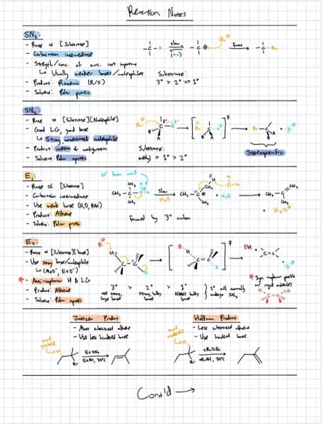 Live performance with Chemistry by Andrew 