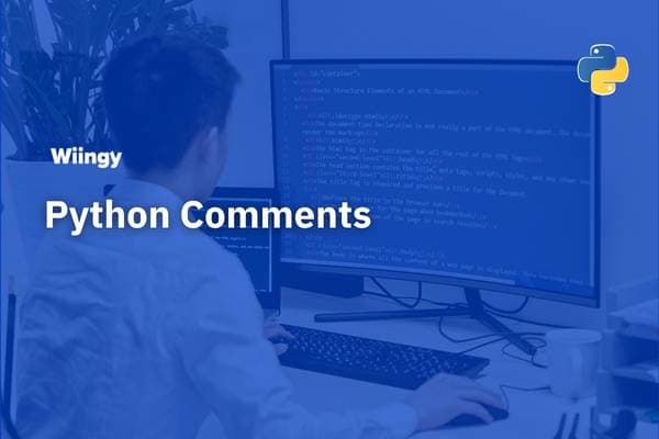 Python Comments