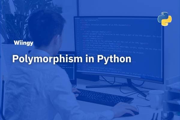 polymorphism in python