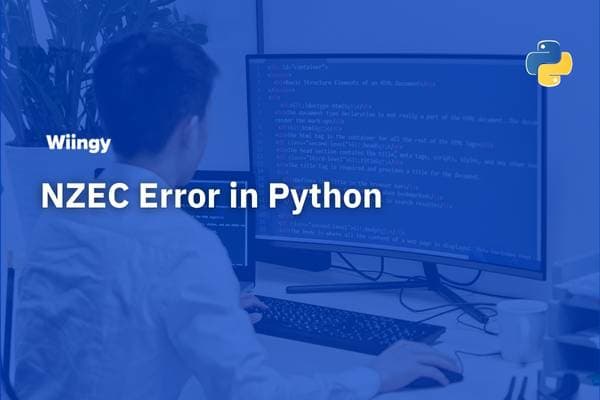 nzec error in python