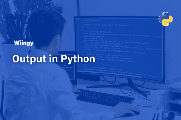 output in python