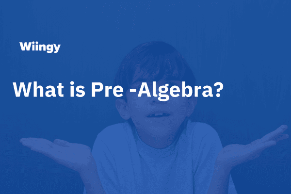 What is Pre-Algebra