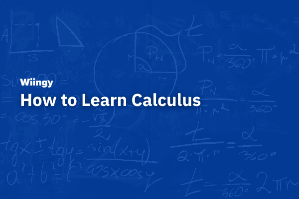 How to learn calculus