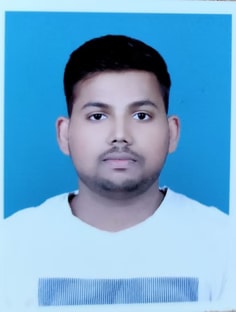 Profile photo of Priyanshu  Raj , undefined tutor at Wiingy