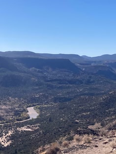 Profile photo of Daniel Smith, undefined tutor at Wiingy