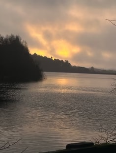 Profile photo of Mollie  Stout , undefined tutor at Wiingy