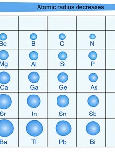 Profile photo of Veena Hegde, undefined tutor at Wiingy