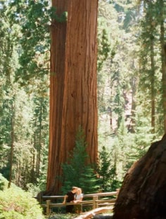 Profile photo of Angelo  Ferrando , undefined tutor at Wiingy