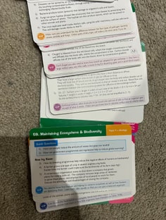 Profile photo of Kelechi Chioma, undefined tutor at Wiingy