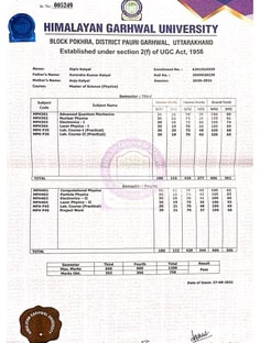Profile photo of Dipin  Katyal, undefined tutor at Wiingy