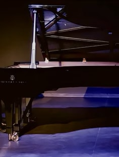 Profile photo of Arman Kashef, undefined tutor at Wiingy