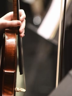 Profile photo of Jessie Yahner, undefined tutor at Wiingy