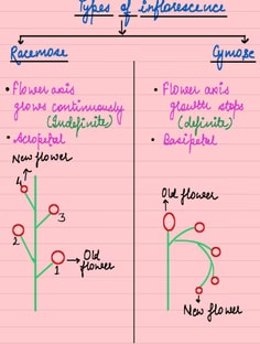 Profile photo of Nikita  Gautam , undefined tutor at Wiingy