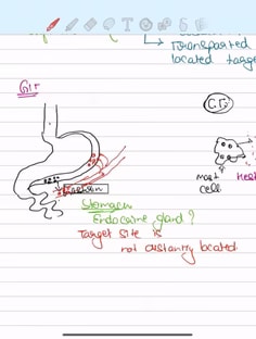 Profile photo of Sonu Kumari, undefined tutor at Wiingy
