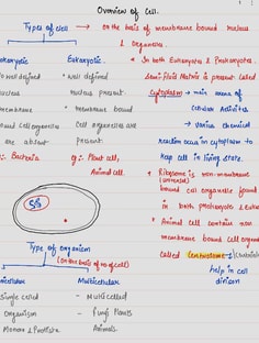 Profile photo of Anchal Chugh, undefined tutor at Wiingy