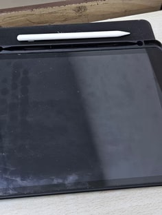 Profile photo of Bhawna Papreja, undefined tutor at Wiingy