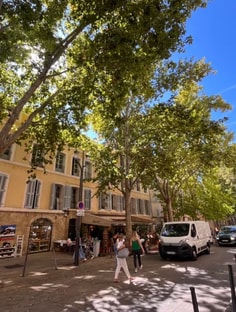 Profile photo of Amy Chafi, undefined tutor at Wiingy