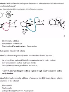 Profile photo of Owen Thornton, undefined tutor at Wiingy