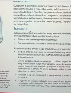 Profile photo of Pooja Desai, undefined tutor at Wiingy