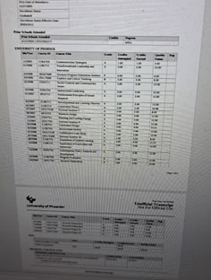 Profile photo of Ivelisse Torres, undefined tutor at Wiingy