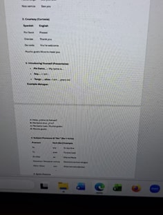 Profile photo of Ivelisse Torres, undefined tutor at Wiingy