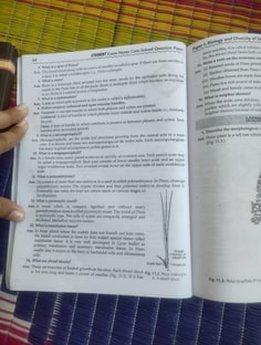 Profile photo of Shikha Yadav, undefined tutor at Wiingy