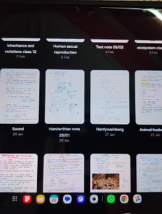 Profile photo of Tisha  Mangla, undefined tutor at Wiingy