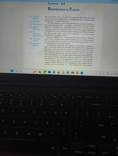 Profile photo of Richa  Maheshwari , undefined tutor at Wiingy