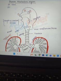 Profile photo of Richa  Maheshwari , undefined tutor at Wiingy