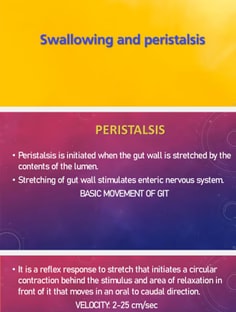 Profile photo of Yaazhini Mohamed, undefined tutor at Wiingy