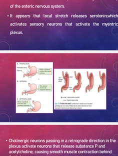 Profile photo of Yaazhini Mohamed, undefined tutor at Wiingy