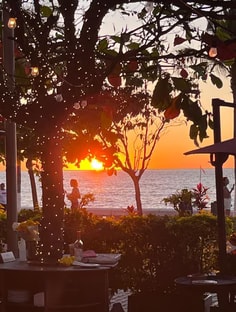 Profile photo of Alli Vancoughnett, undefined tutor at Wiingy