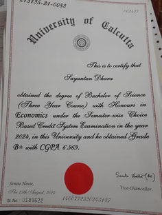 Profile photo of Sayantan Dhara, undefined tutor at Wiingy