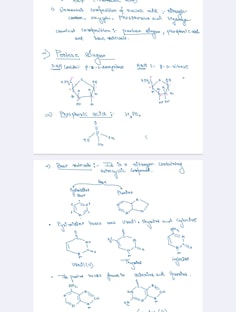 Profile photo of Ishita  Jain, undefined tutor at Wiingy