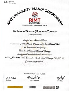 Profile photo of Manish  Kumar, undefined tutor at Wiingy