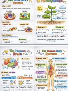 Profile photo of Edcelyn Falamig, undefined tutor at Wiingy