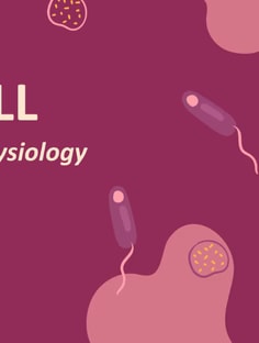 Profile photo of CAIRA ALI, undefined tutor at Wiingy