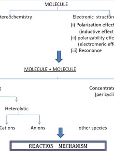 Profile photo of Daisy Mehta, undefined tutor at Wiingy