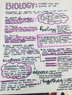 Profile photo of Mary Danielle Kaye Arangote, undefined tutor at Wiingy